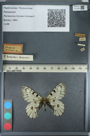 Media type: image;   Entomology 174294